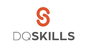 DQ Skills  logo