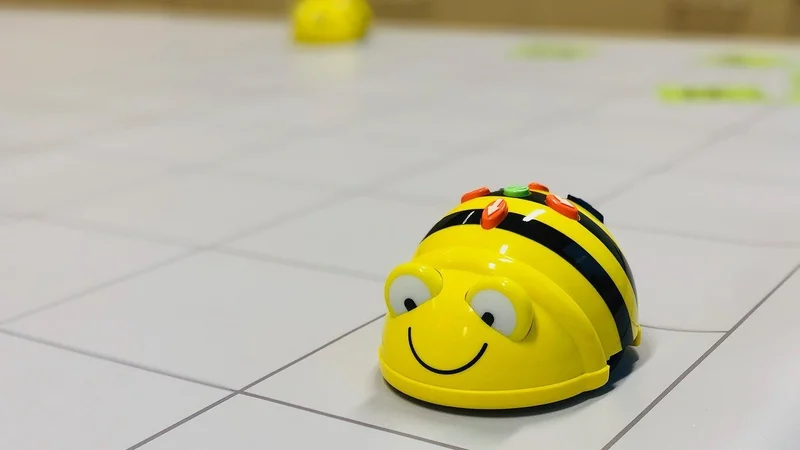 beebot-4096410_1280.jpg